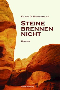 Steine brennen nicht - Klaus D. Biedermann - ebook