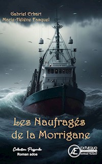 Les naufragés de la Morrigane - Gabriel Erhart - ebook