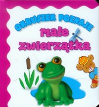 Okruszek poznaje małe zwierzątka - Wiśniewska Anna - książka