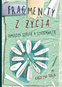 Fragmenty z życia Pomiędzy szóstą a siedemnastą - Turek Karolina - książka