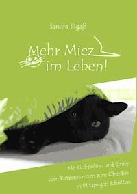 Mehr Miez im Leben! - Sandra Elgaß - ebook