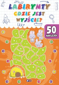 Labirynty gdzie jest wyjście? - zbiorowa praca - książka
