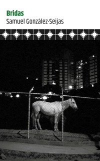Bridas - Samuel González-Seijas - ebook