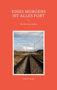 Eines Morgens ist alles fort - Walter F. Bosch - ebook
