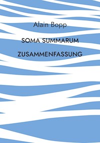 Soma Summarum Zusammenfassung - Alain Bopp - ebook