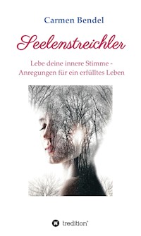 Seelenstreichler - Carmen Bendel - ebook