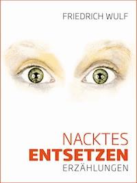 Nacktes Entsetzen - Friedrich Wulf - ebook