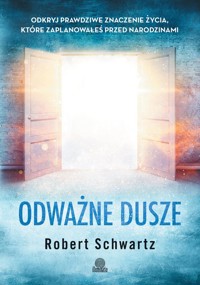 Odważne dusze - Schwartz Robert - książka