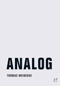Analog - Thomas Meinecke - ebook