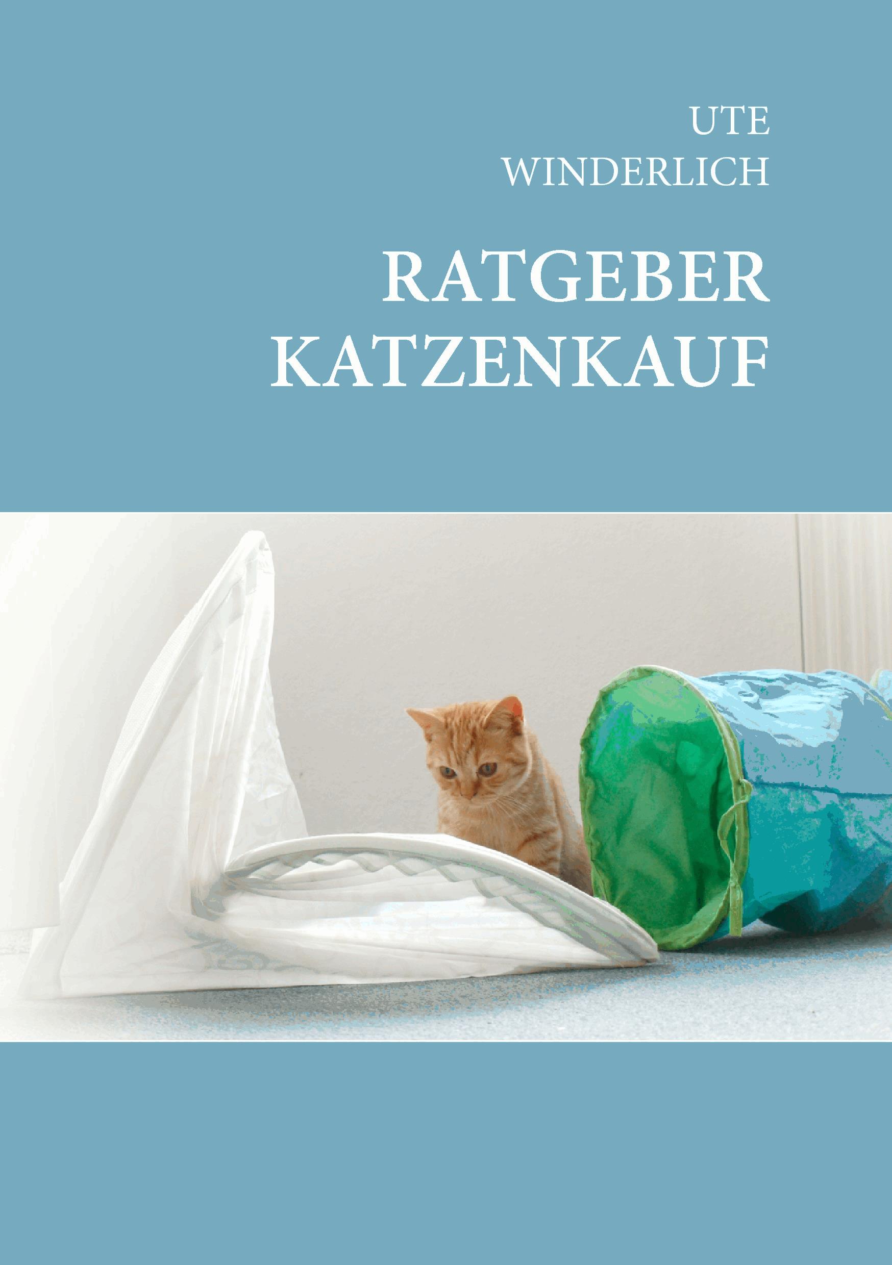 Ratgeber Katzenkauf