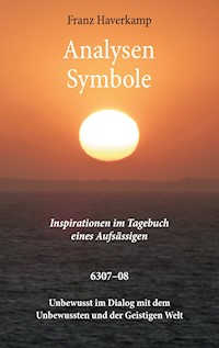 Analysen - Symbole 6307-08 - Franz Haverkamp - ebook