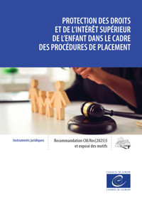 Protection des droits et de l'intérêt supérieur de l'enfant dans le cadre des procédures de placement - Conseil de l'Europe - ebook