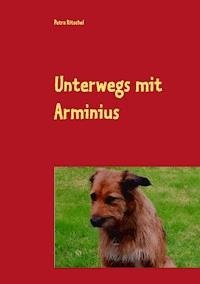 Unterwegs mit Arminius - Petra Ritschel - ebook