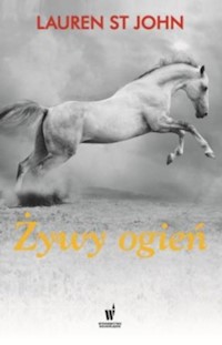 Żywy ogień - St John Lauren - książka