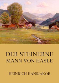 Der steinerne Mann von Hasle - Heinrich Hansjakob - ebook