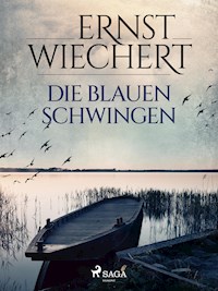 Die blauen Schwingen - Ernst Wiechert - ebook