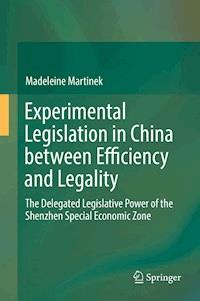 Experimental Legislation in China between Efficiency and Legality - Madeleine Martinek - ebook