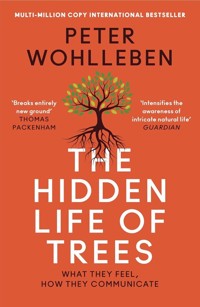 The Hidden Life of Trees - Peter Wohlleben - książka