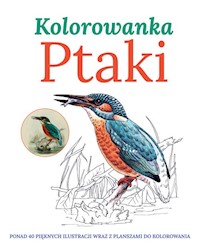 Ptaki Kolorowanka -  - książka