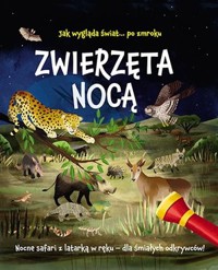 Zwierzęta nocą. Nocne safari z latarką w ręku - Lisa Regan - książka