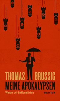 Meine Apokalypsen - Brussig Thomas - ebook
