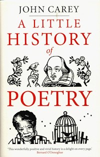 A Little History of Poetry - Carey John - książka