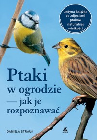 Ptaki w ogrodzie – jak je rozpoznawać - Strauß Daniela - książka