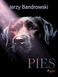 Pies - Jerzy Bandrowski - ebook