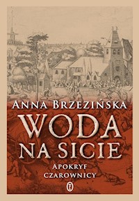 Woda na sicie - Anna Brzezińska - książka