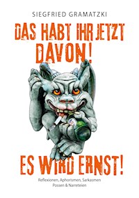 Das habt Ihr jetzt davon! Es wird ernst! - Siegfried Gramatzki - ebook