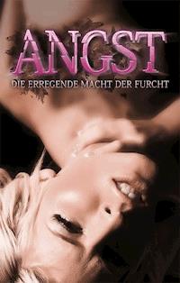 Angst - Lisa Cohen - ebook