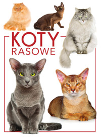 Koty rasowe - zbiorowa praca - książka