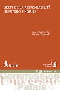 Droit de la responsabilité - Questions choisies -  - ebook