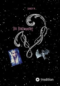 Die Bestimmung - Sandy M - ebook