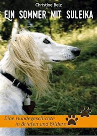 Ein Sommer mit Suleika - Christine Belz - ebook