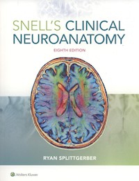 Snell's Clinical Neuroanatomy - Splittgerber Ryan - książka