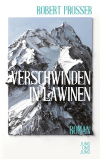 Verschwinden in Lawinen - Robert  Prosser - ebook