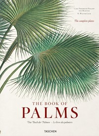 The Book of Palms - Lack H. Walter - książka