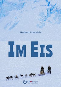 Im Eis - Herbert Friedrich - ebook