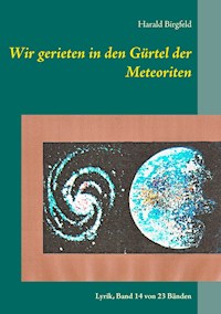 Wir gerieten in den Gürtel der Meteoriten - Harald Birgfeld - ebook