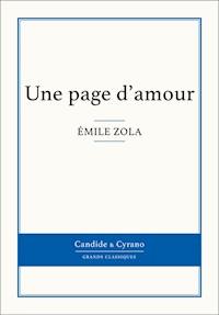 Une page d'amour - Emile Zola - ebook