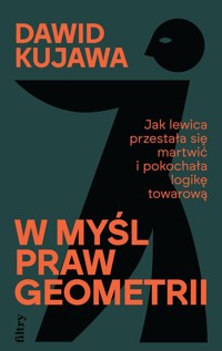 W myśl praw geometrii. Jak lewica przestała się martwić i pokochała logikę towarową - Dawid Kujawa - ebook + książka