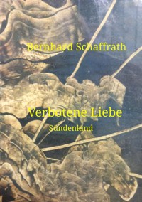 Verbotene Liebe - Bernhard Schaffrath - ebook