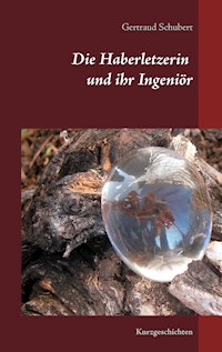 Die Haberletzerin und ihr Ingeniör - Gertraud Schubert - ebook