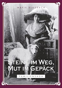 Steine im Weg, Mut im Gepäck - Marie Blaubach - ebook