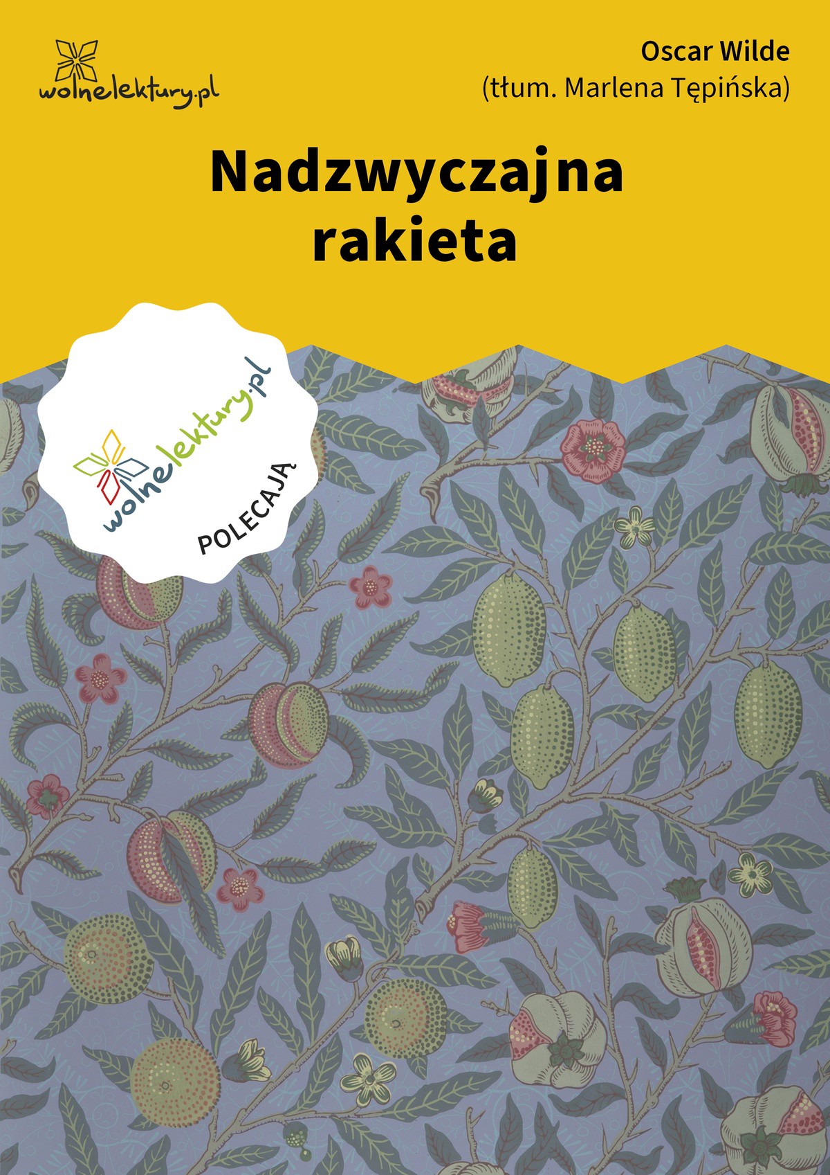 Nadzwyczajna rakieta