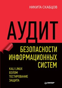 Аудит безопасности информационных систем - Никита Скабцов - ebook