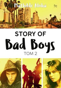 Story of Bad Boys. Tom 2 - Mathilde Aloha - książka