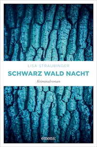 Schwarz Wald Nacht - Lisa Straubinger - ebook