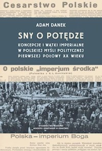 Sny o potędze - Danek Adam - książka